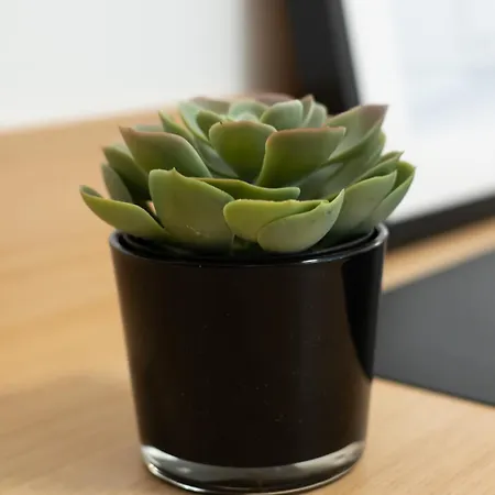 Apartman Premium Marina With Sea View By Locap Group Portoroz