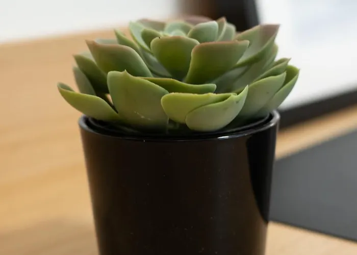 Apartamento Premium Marina With Sea View By Locap Group Portorož